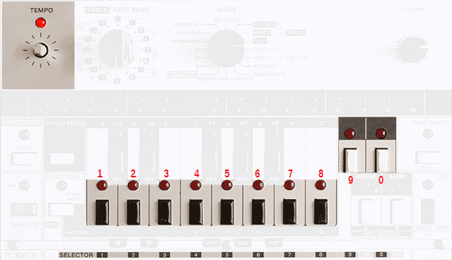 tempo set